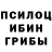 Галлюциногенные грибы Cubensis Mark Dads_twin