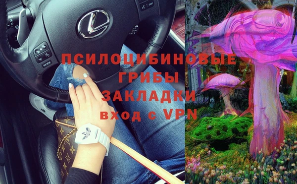 а пвп мука Белокуриха