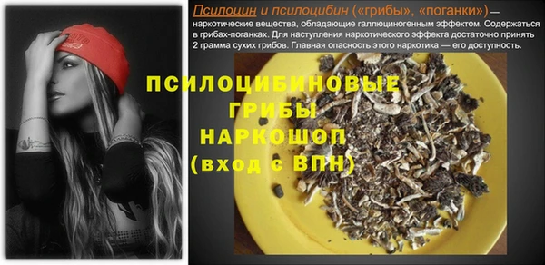 а пвп мука Белокуриха