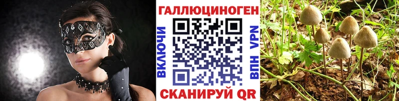 где купить наркотик  Ужур  ссылка на мегу tor  Галлюциногенные грибы мицелий 